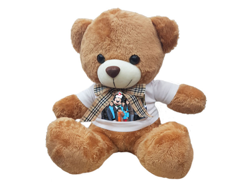 Teddy I